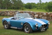 IMG_W9931-SmartSh-12-X-18-Cobra©SDI