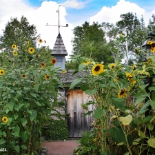 B0281-SUNFLOWER-HOUSE-©SDI